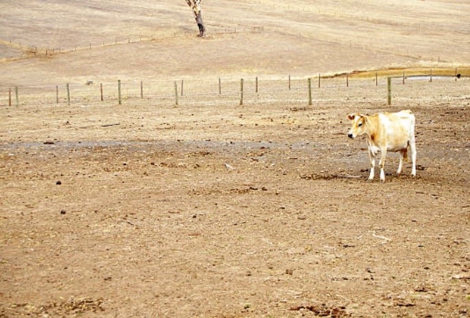 drought farm drought farm