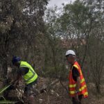 Very dry debris