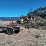 Piles of debris
