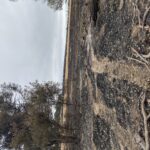 Some properties had extensive damage