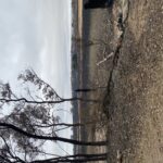 Another fence line