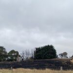 Charred