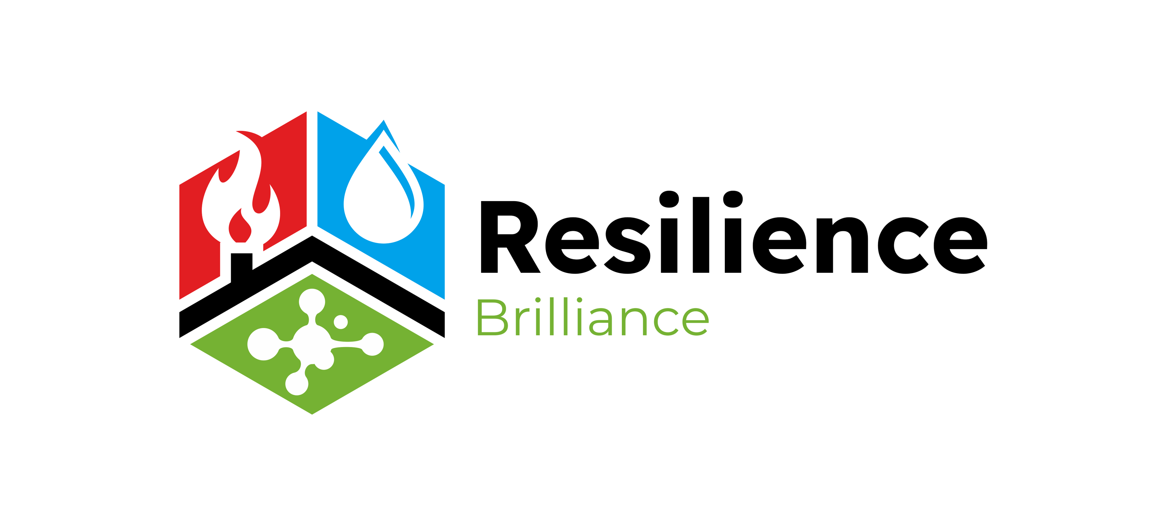 Resilience Brilliance Logo PNG Resilience Brilliance Logo PNG